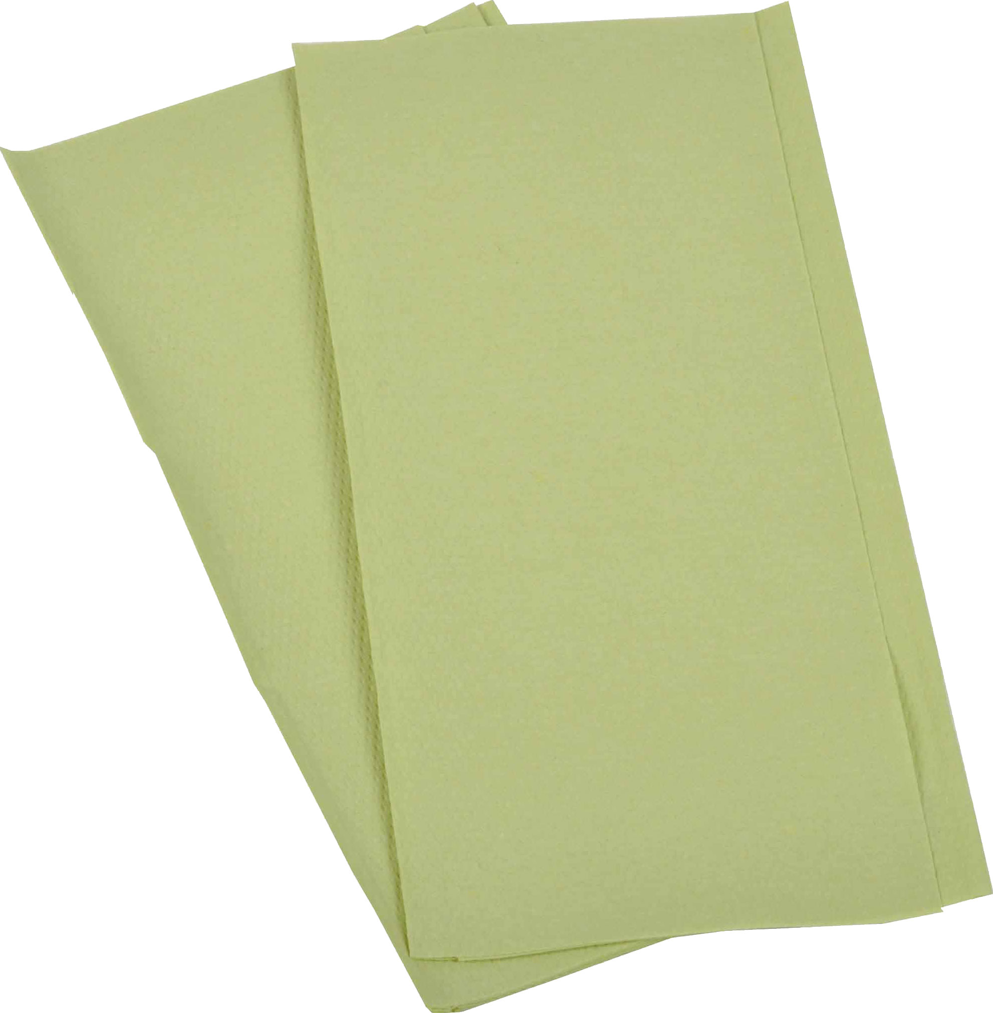 Papierhandtuch 2-lagig grün (AG-059)